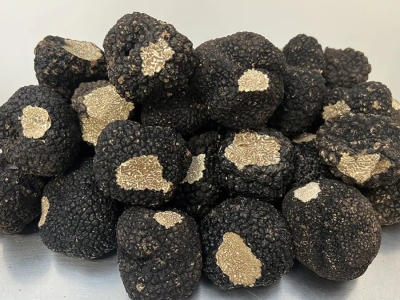 Sauce Foie Gras à la Truffe noire