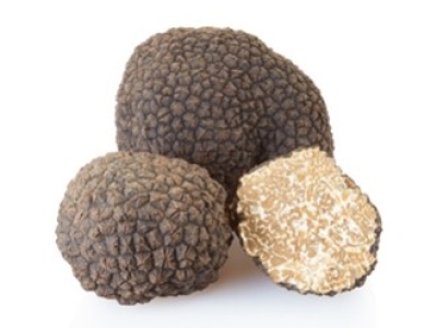 Tout savoir sur la truffe d'été fraîche